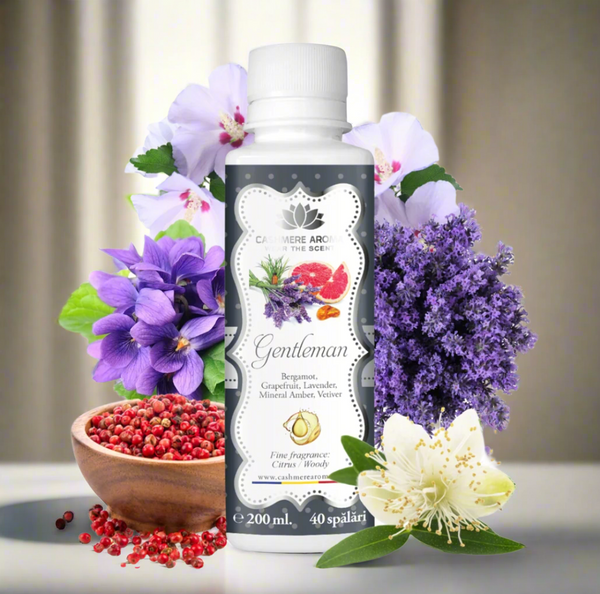 Gentleman laundry perfume, inspired by Pacco Rabanne - Invictus.